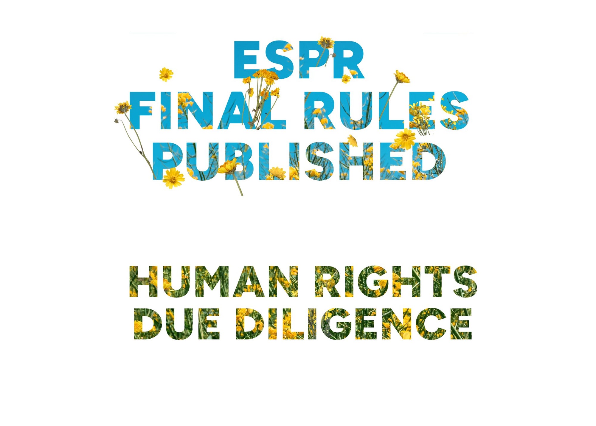 FINAL ESPR REGULATIONS PUBLISHED | HUMAN RIGHTS DUE DILIGENCE JUST ADDED - Greige