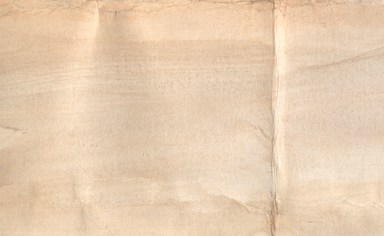 Strangers in a Bar: Expat Love in Venice - Greige